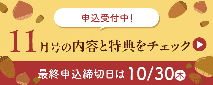 11月号の内容と特典をチェック