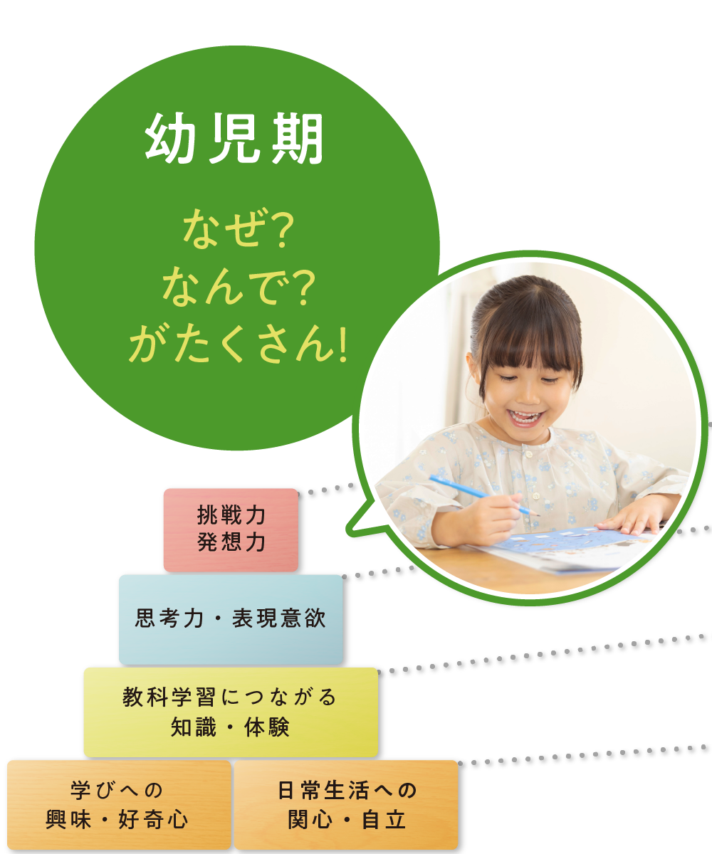 幼児期：なぜ？なんで？がたくさん！