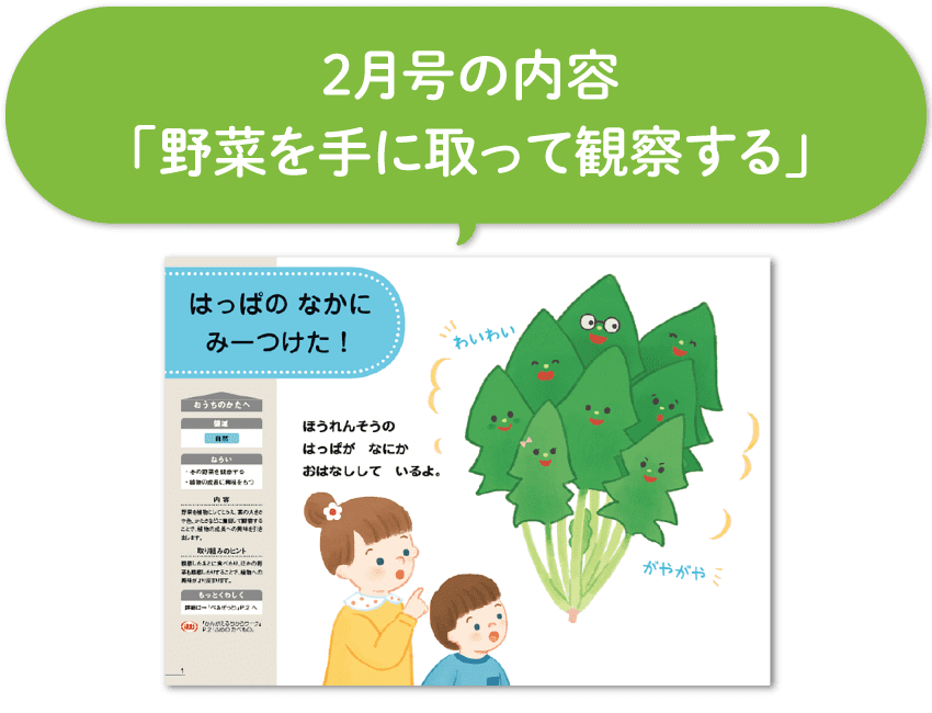 野菜を手に取って観察する