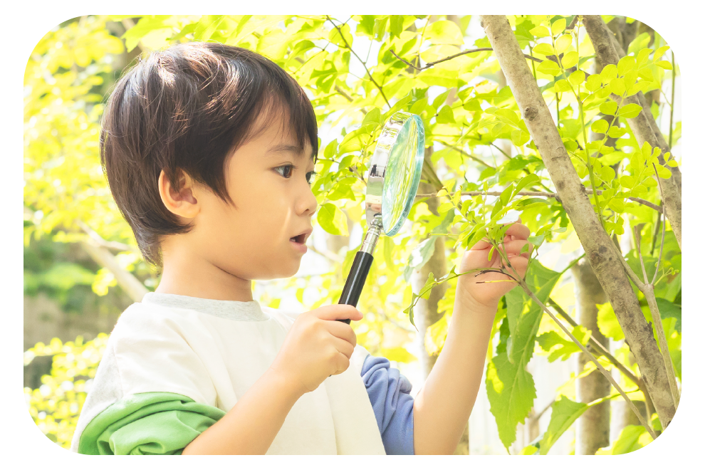 3歳になる前から学習って必要?いつから始める?