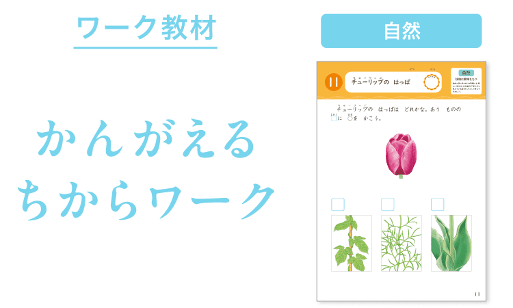「チューリップの　はっぱ」