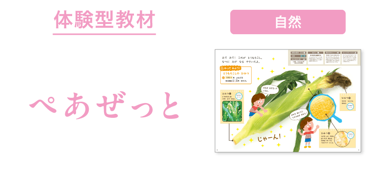 とうもろこしの ひみつ