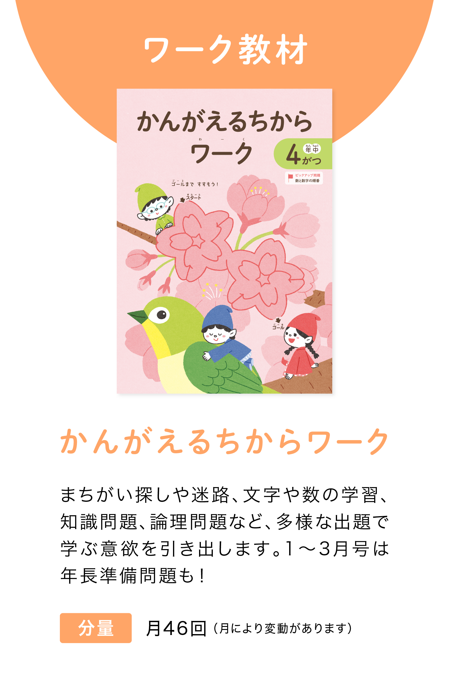 ワーク教材『かんがえるちからワーク』 月46回