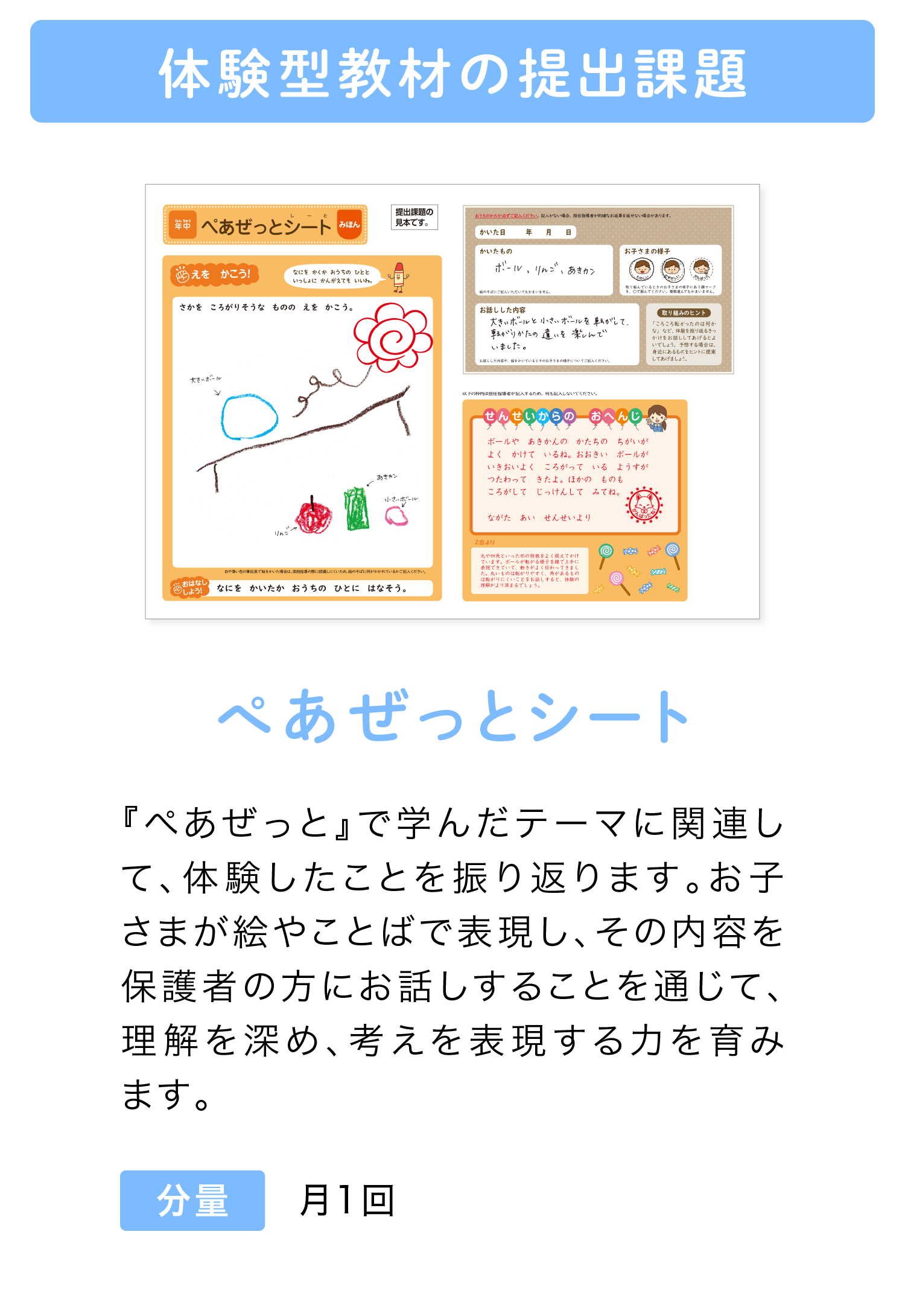 体験型教材の課題提出『ぺあぜっとシート』 月1回