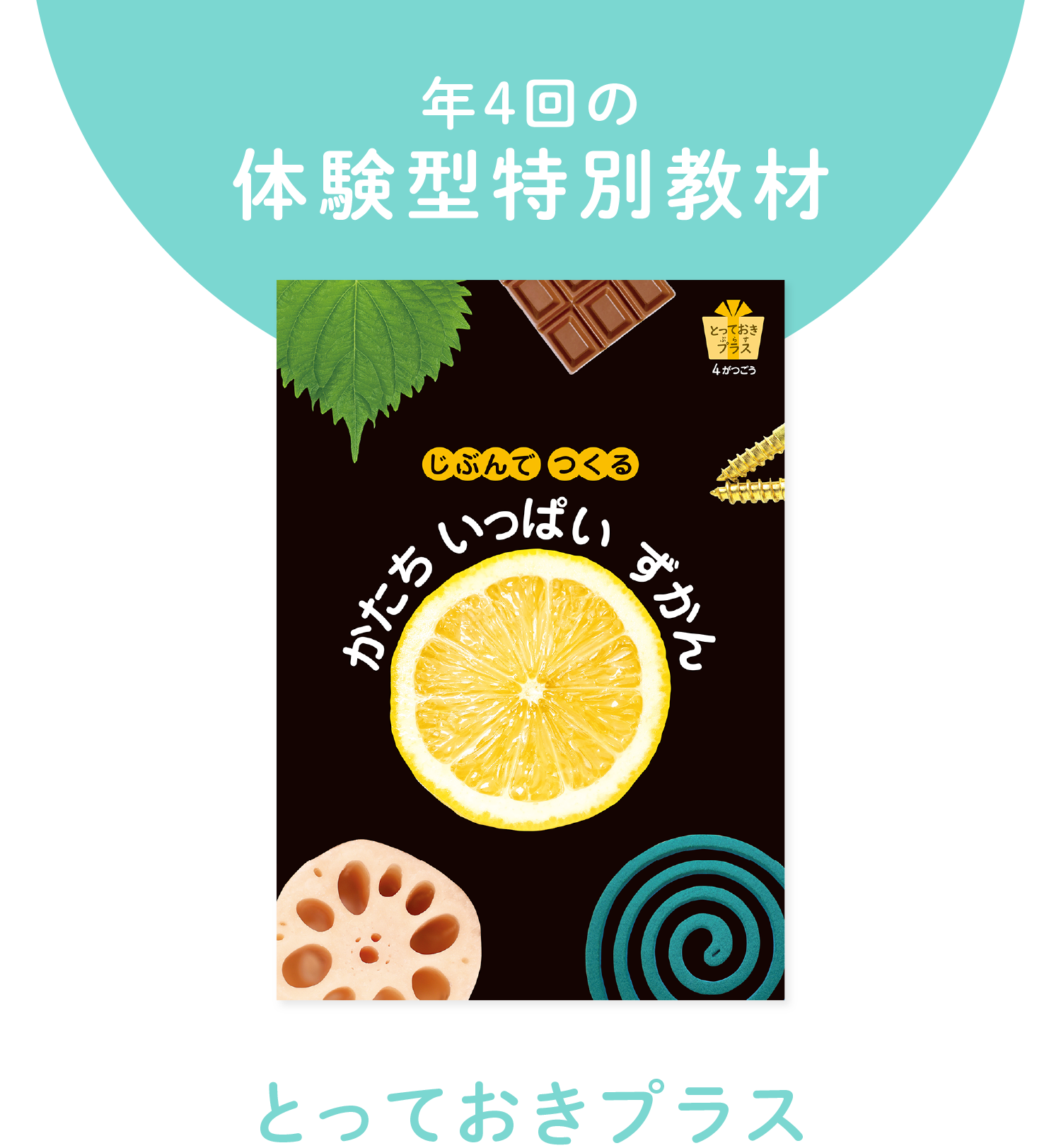 年4回の体験型特別教材『とっておきプラス』