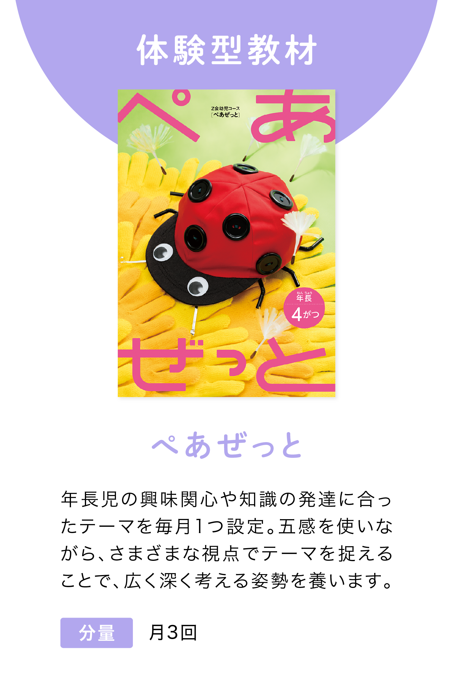 体験型教材『ぺあぜっと』