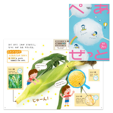 体験型教材『ぺあぜっと』「とうもろこしの ひみつ」