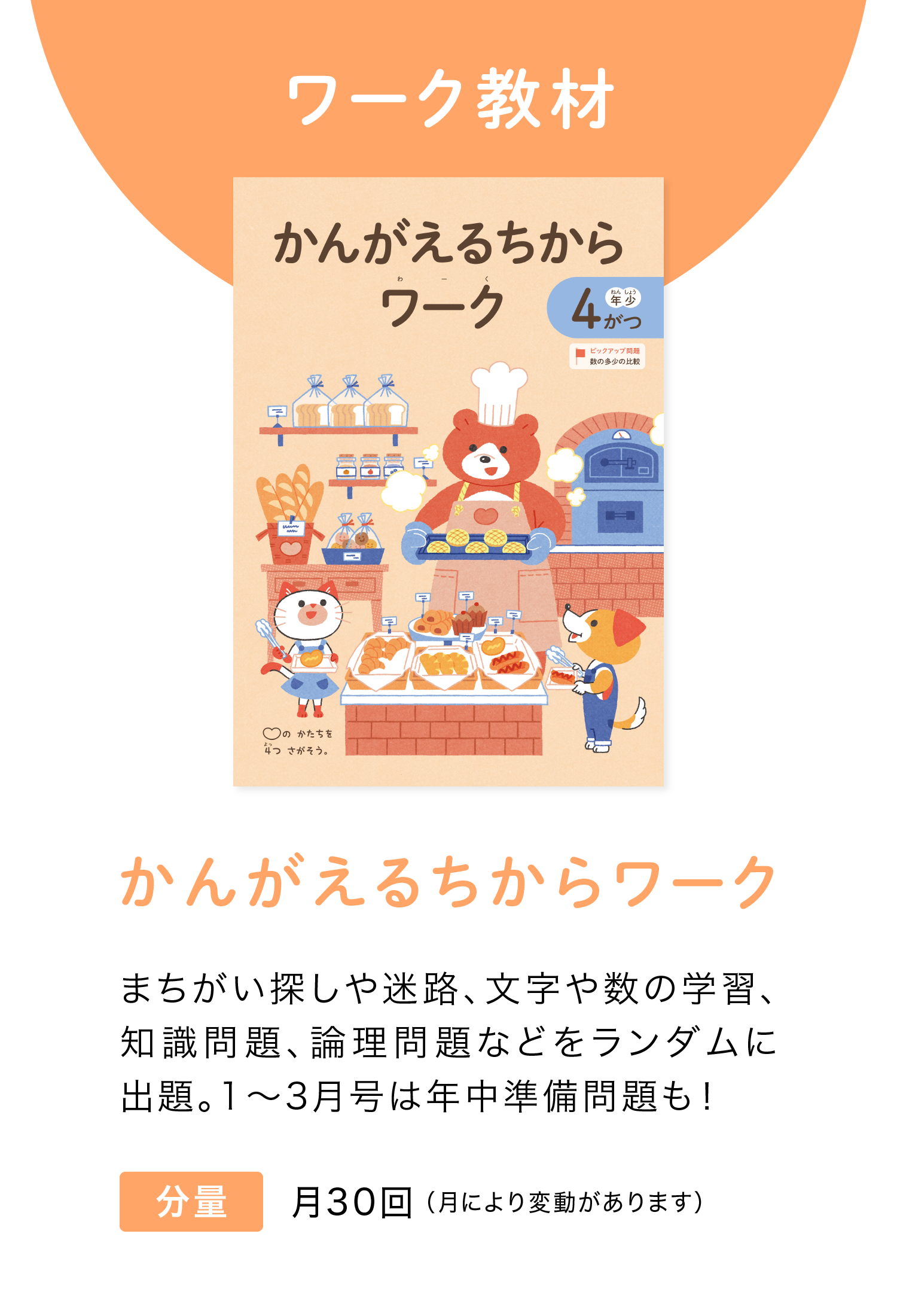 ワーク教材『かんがえるちからワーク』 月30回