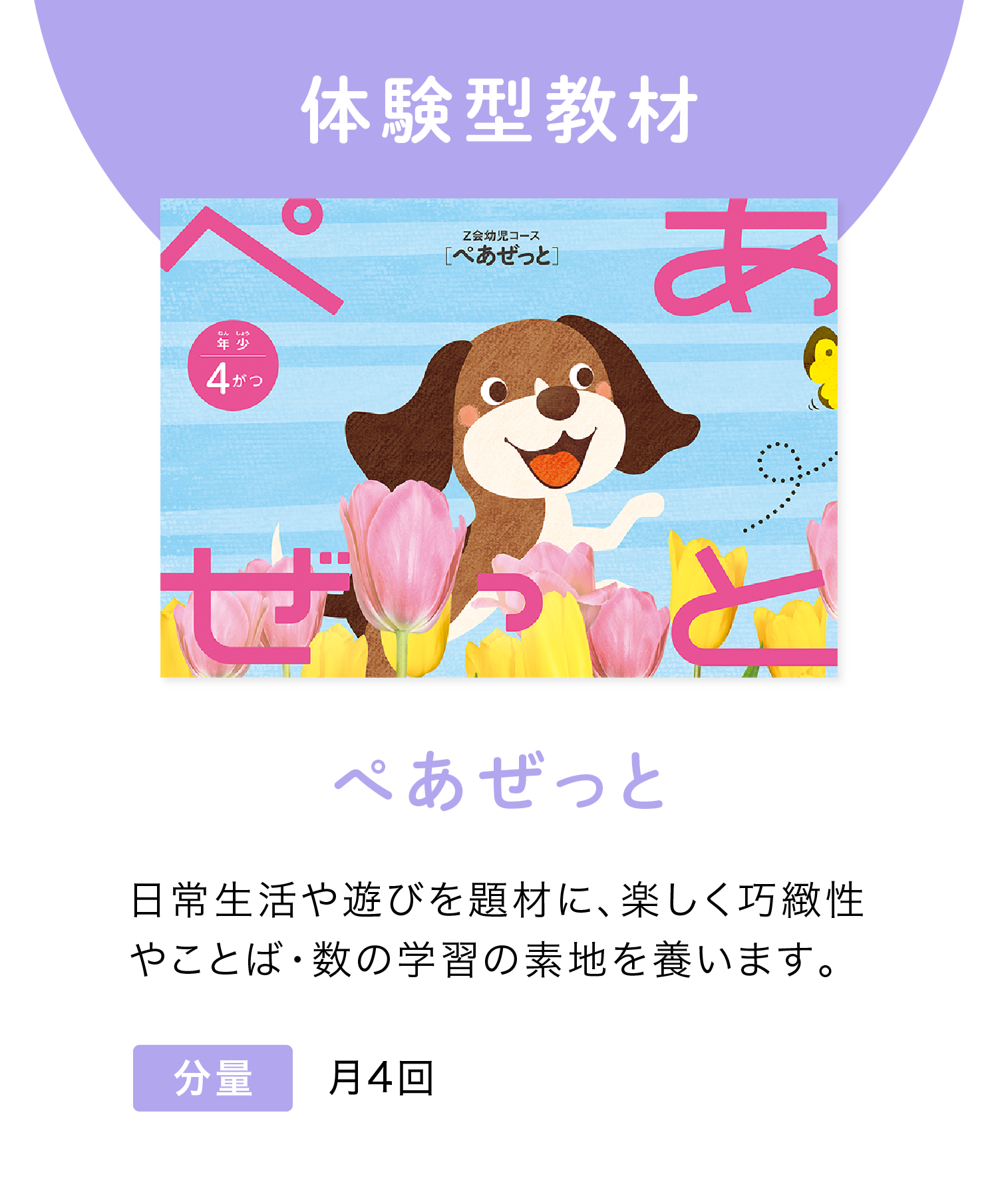 体験型教材『ぺあぜっと』