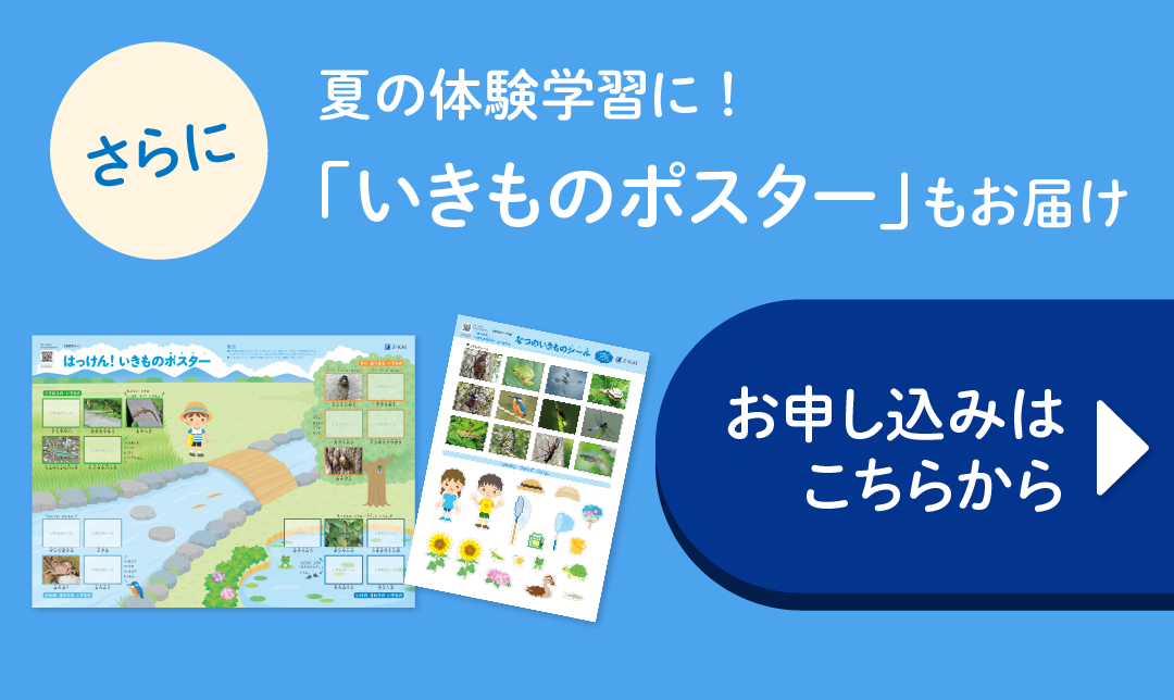 さらに夏の体験学習に!「いきものポスター」もお届け