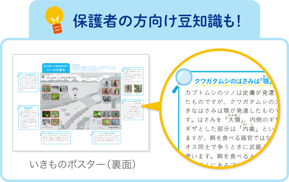 保護者の方向け豆知識も裏面に記載！