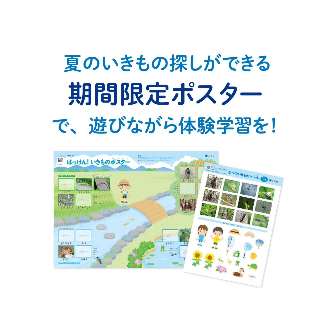 夏の生き物探しができる期間限定ポスターで、遊びながら体験学習を！