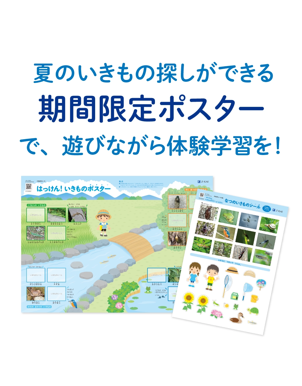 夏の生き物探しができる期間限定ポスターで、遊びながら体験学習を!
