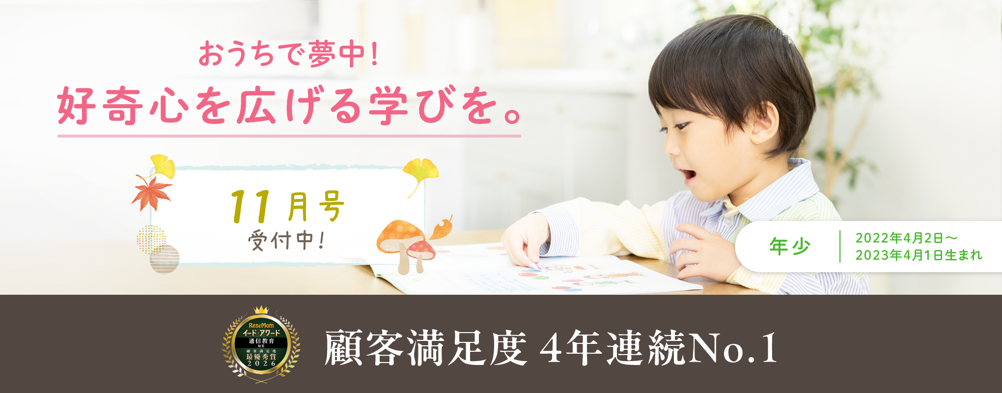 Z会の通信教育 幼児コース年少