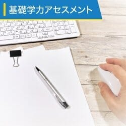 日本語運用能力テスト