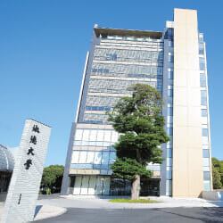 数学基礎講座　導入事例　淑徳大学　総合福祉学部　実践心理学科
