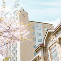 数学基礎講座　導入事例　淑徳大学 コミュニティ政策学部 コミュニティ政策学科