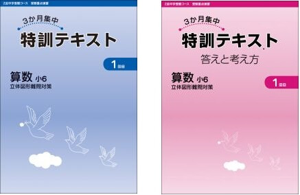 3カ月集中特訓テキストの写真