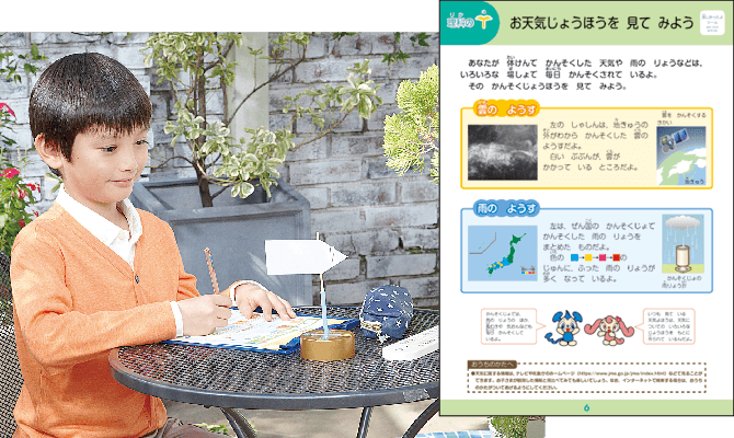 理科の芽・社会の芽