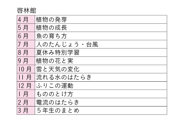 ｚ会の通信教育小学生コース カリキュラム