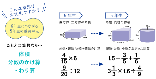 2019年度小学生コース5年生のご案内 ｚ会の通信教育 小学生