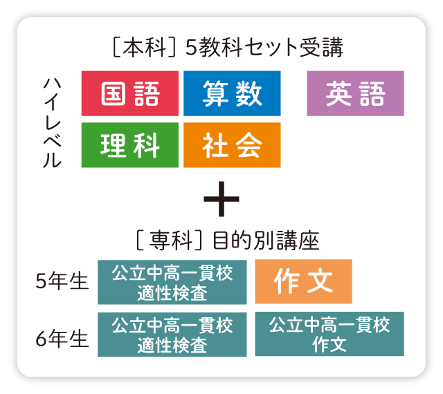 小学生コース3 6年生 おすすめ受講パターン z会の通信教育 小学生 小学生コース3 6年生 おすすめ受講パターン z会の通信教育 小学生