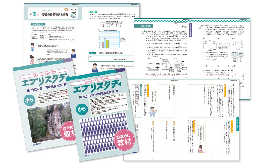 Z会 小5エブリスタディ 公立中高一貫校 イングリッシュ、漢字等