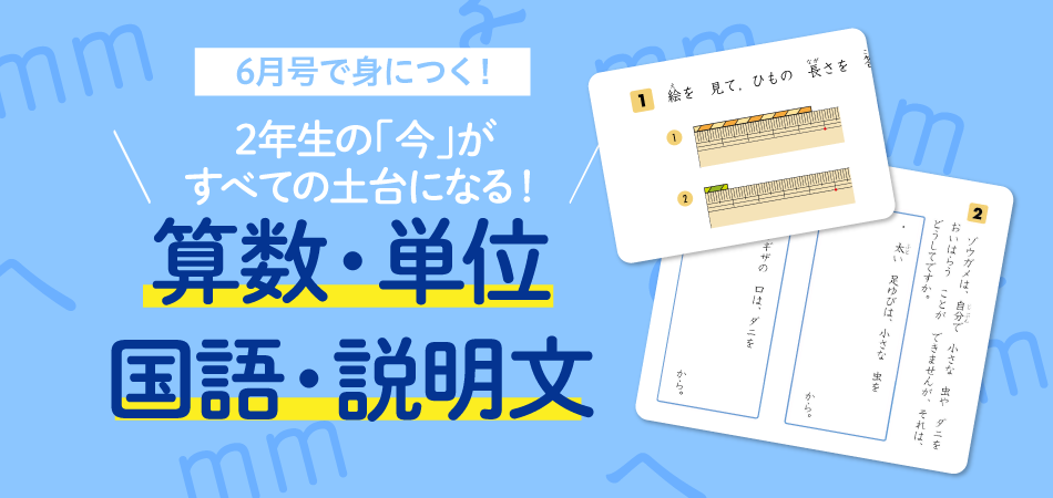 6954円 贈答品 未使用 Z会小学生コース 小2 ハイレベル 6月 7月 8月