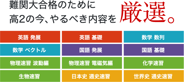 難関大合格のために高2の今、やるべき内容を厳選。【英語発展】【英語基礎】【数学数列】【数学ベクトル】【国語発展】【国語基礎】【物理速習波動編】【物理速習電磁気編】【科学速習】【生物速習】【日本史速習】【世界史速習】