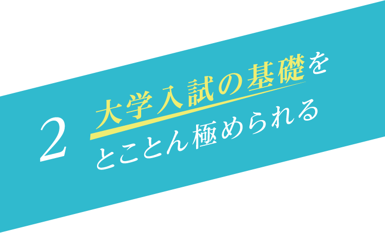 大学入試の基礎をとことん極められる