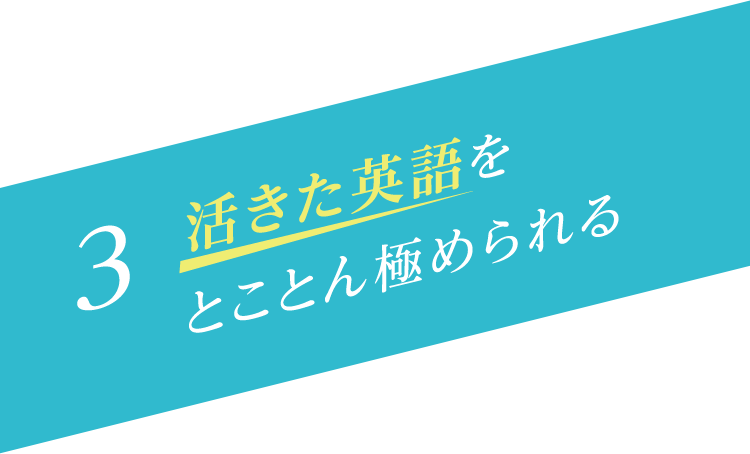 活きた英語をとことん極められる