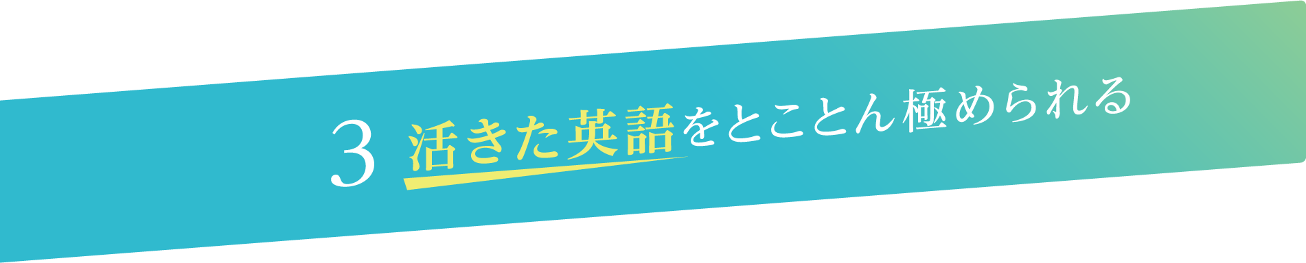 活きた英語をとことん極められる