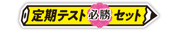 定期テスト必勝セット