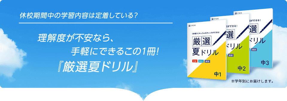 理解度が不安なら、手軽にできるこの1冊!『厳選夏ドリル』