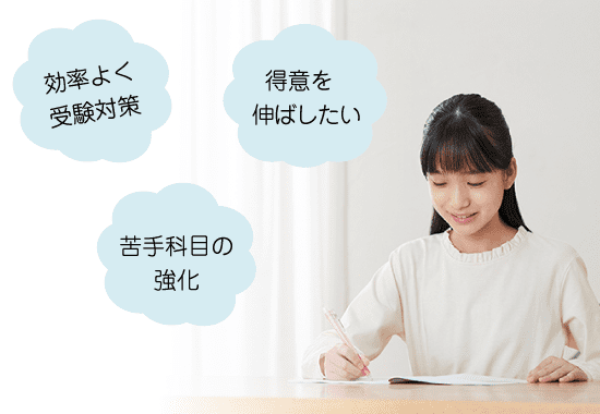 苦手科目の強化/効率よく受験対策/得意を伸ばしたい