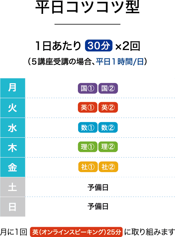平日コツコツ型