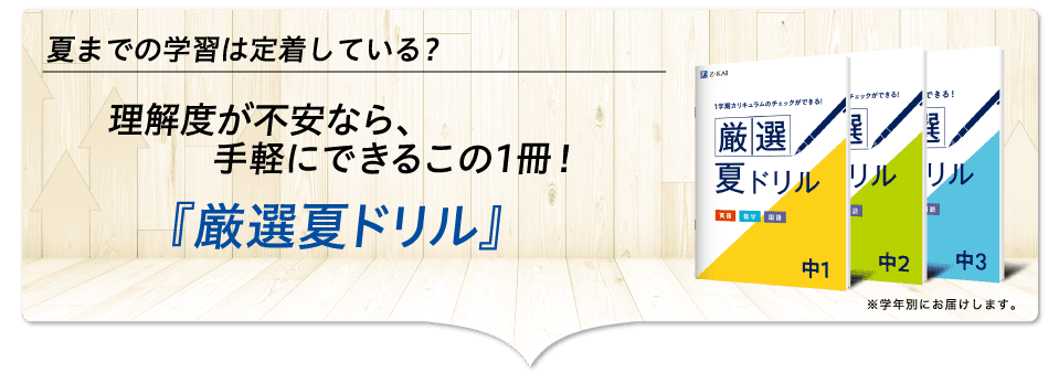 理解度が不安なら、手軽にできるこの1冊!『厳選夏ドリル』
