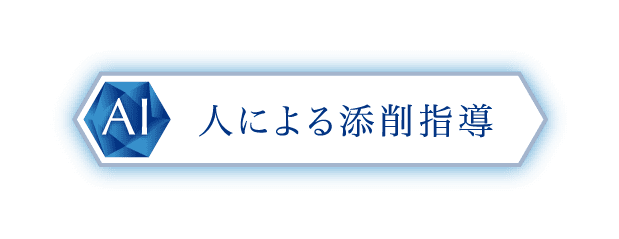 人による添削指導