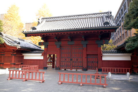 講師は全員優秀、そして情熱的な東大生・医学部生。