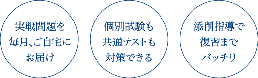 【実践問題を毎月、ご自宅にお届け】【個別試験も共通テストも対策できる】【添削指導で復習までバッチリ】