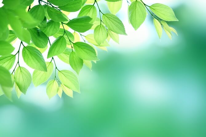 夏休みは復習×基礎固めが大事!