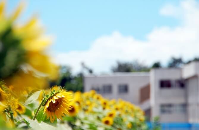 中学生の夏休み、「変わる大学入試で必要とされる力」を身につけるために