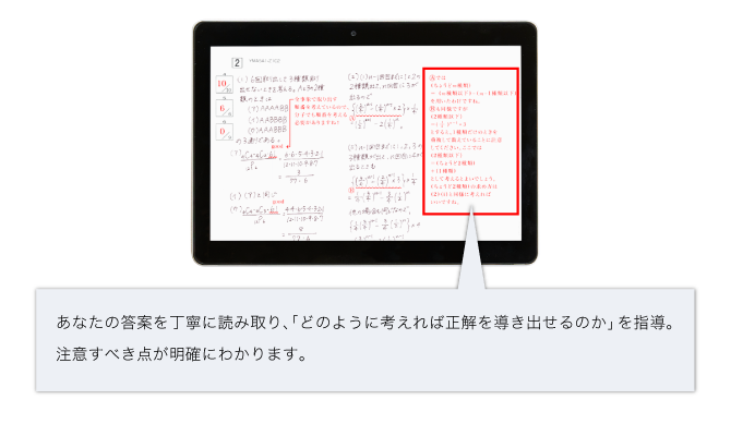 東大志望者の答案を見続けてきた プロの指導者による添削
