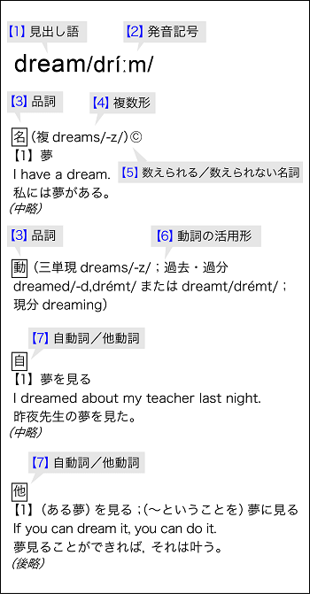 辞書を上手に使えれば 英語学習がもっと効果的になる 中学生向け