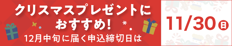 12月中旬に届く申込締切日は11/30(日)