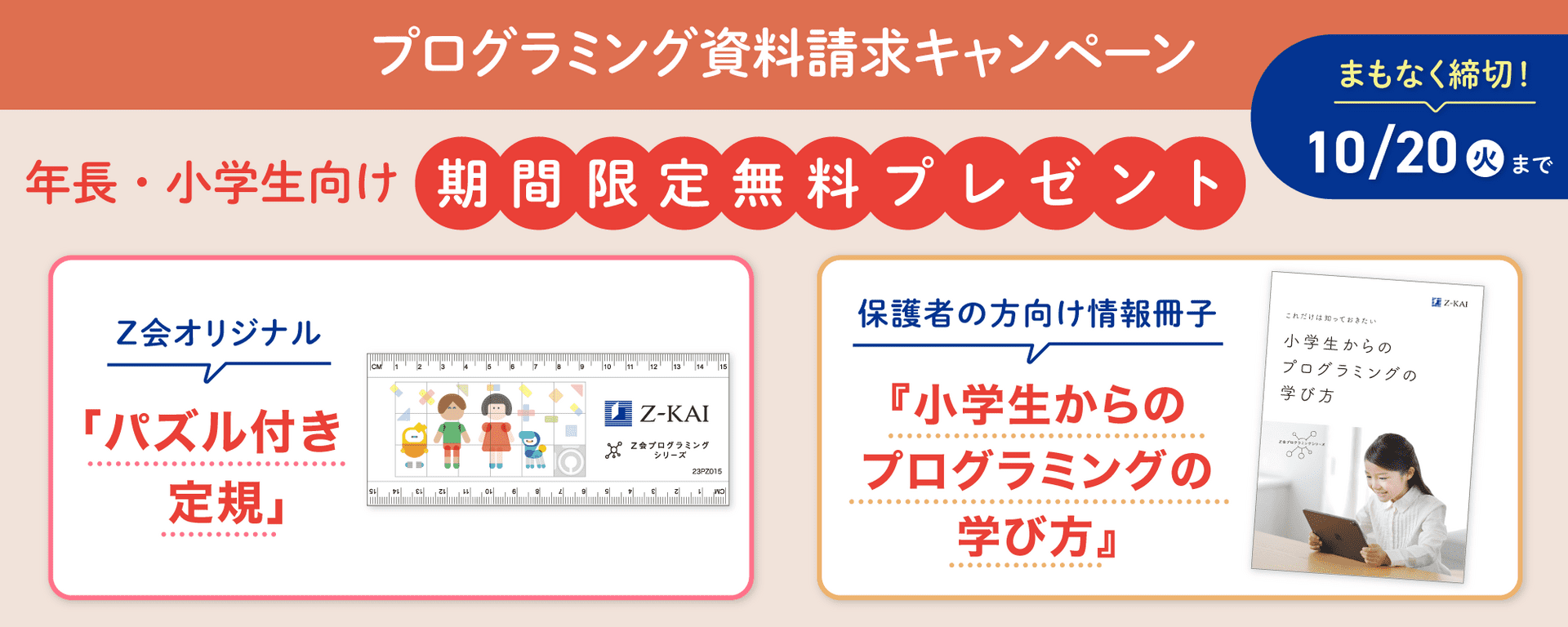 プログラミング資料請求キャンペーン